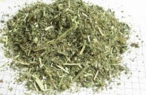 Сотни учеников митинговали против «легальных наркотиков» (АУДИО)