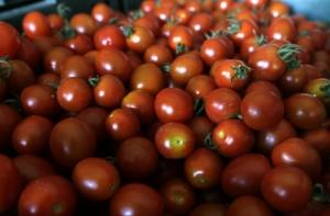 В Великобритании набирает популярность «огород в одном горшке»