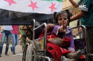 Большинство французов и немцев высказалось против операции в Сирии