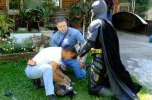 Бэтмен и Капитан Америка спасли кота из пожара