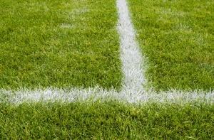 Бешеная чайка атаковала арбитра на поле