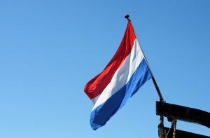 Нидерландского дипломата избили в его московской квартире