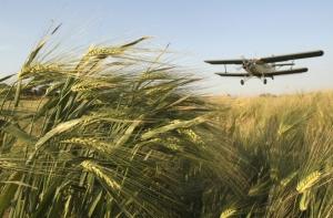 На северо-западе Мексики пропал самолет