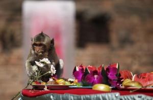 В Таиланде хотят обложить туристов налогом