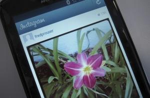 Instagram начнет показывать рекламу
