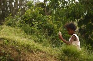 На Мадагаскаре толпа сожгла заживо двух европейцев