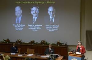 Нобелевку по медицине получили трое ученых