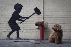 Полиция Нью-Йорка не дала Бэнкси нарисовать граффити