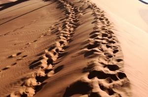 Установлен виновник смерти ребенка на Ливанской насыпи (АУДИО)