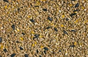 Цены на зерно упали на 26%