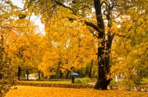 На покровском кладбище пройдет субботник