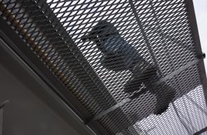 Полиция за убийство с особой жестокостью разыскивает мужчину (ВИДЕО)