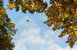 Синоптики: сегодня может быть побит температурный рекорд (АУДИО)