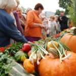 Оборот продовольственной отрасли вырос на 15,57%