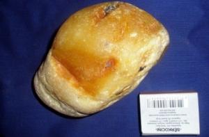 29 октября в  истории Латвии: день Большого Янтаря