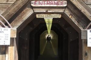 В Университете Беркли в Калифорнии прогремел взрыв