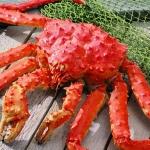 Магазины Gastronome приглашают на «Фестиваль морепродуктов»