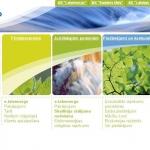 Latvenergo пятый год подряд стал самым ценным предприятием