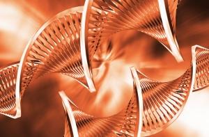 В родословной человека найден еще один вид