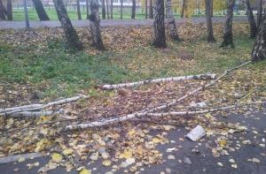 Синоптики снова предупреждают о сильном ветре
