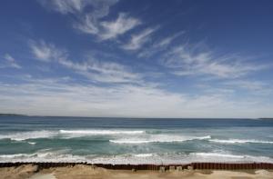 В Австралии обнаружен гигантский ископаемый утконос