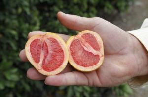 Гепатит С помогут вылечить грейпфруты