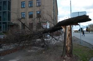Погибший во время бури в Латгале был таможенником