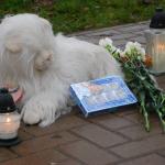 Золитудская трагедия коснулась шести рижских школ и одного детского сада