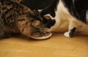 2 декабря в истории Латвии: Мурис и Кузя