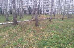 В Олайне ветер оторвал кусок фасада девятиэтажного дома