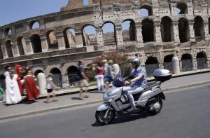 В блюдах итальянского ресторана обнаружили мясо дельфинов