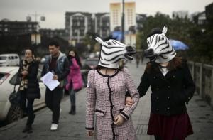 Акция на удачу: лошадь это оценит (ФОТО)