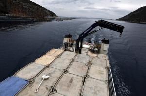 Эксперты: руководство России хочет уйти с нефтяной иглы