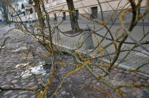Прогноз погоды на Рождество: дождливо и ветрено