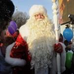 В России лошадь Деда Мороза умерла на глазах у детей