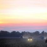 Иностранные мошенники присваивают латвийские земли