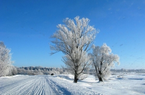 19 января в истории Латвии: зима, холода