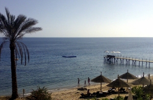 В Египте разбился автобус с россиянами