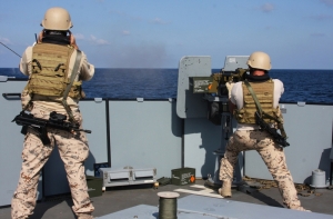 Эстонские военные помогут справиться с хаосом в ЦАР