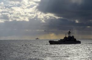 В Балтийское море выбросили 14 коровьих туш