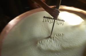 Эстонцы сделали молочку качественнее по требованию России