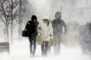 В США более 20 человек погибли в результате аномальных морозов