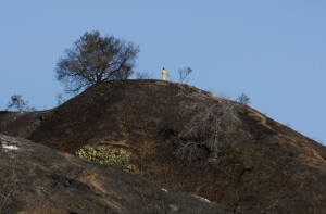 В Калифорнии объявлена ЧС из-за рекордной засухи