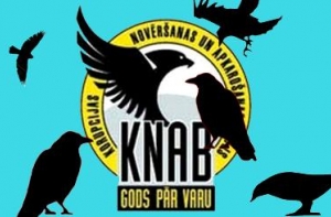 KNAB: за прошлый год осуждены 19 коррупционеров