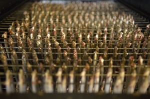 Эстонцы и венгры забраковали латвийские шпроты