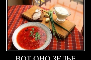 Бордель обнаружили по запаху борща (ВИДЕО)
