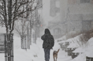 «Полярная воронка» над США грозит морозами до -50 градусов