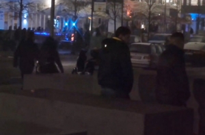 В Берлине пьяные немцы помочились на памятник жертвам Холокоста (ВИДЕО)