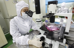 Американские ученые впервые вырастили человеческие легкие