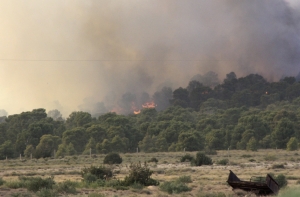 Авиакатастрофа в Алжире: 128 погибших